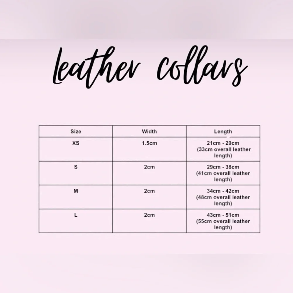 Gold Leather Dog Collar | Gold Hardware and Removable Bow | Small - Picture 13 of 15